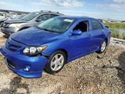 Toyota Corolla Base Vehiculos salvage en venta: 2013 Toyota Corolla Base