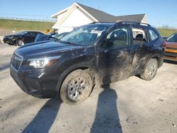 Salvage cars for sale at Northfield, OH auction: 2019 Subaru Forester
