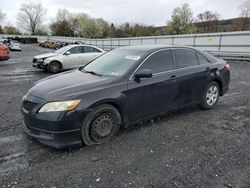 Toyota Camry Base Vehiculos salvage en venta: 2009 Toyota Camry Base