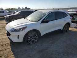 Salvage cars for sale at Bakersfield, CA auction: 2022 Ford Escape SE