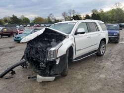 Cadillac Escalade salvage cars for sale: 2017 Cadillac Escalade Luxury