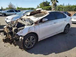 Salvage cars for sale at San Martin, CA auction: 2023 KIA Forte LX
