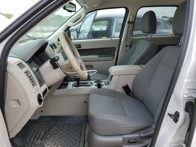 2009 Ford Escape XLT