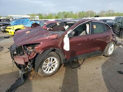 Salvage cars for sale at Louisville, KY auction: 2021 Ford Escape SE