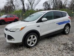 Salvage cars for sale at Baltimore, MD auction: 2014 Ford Escape SE