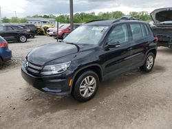 Salvage cars for sale from Copart Louisville, KY: 2016 Volkswagen Tiguan S