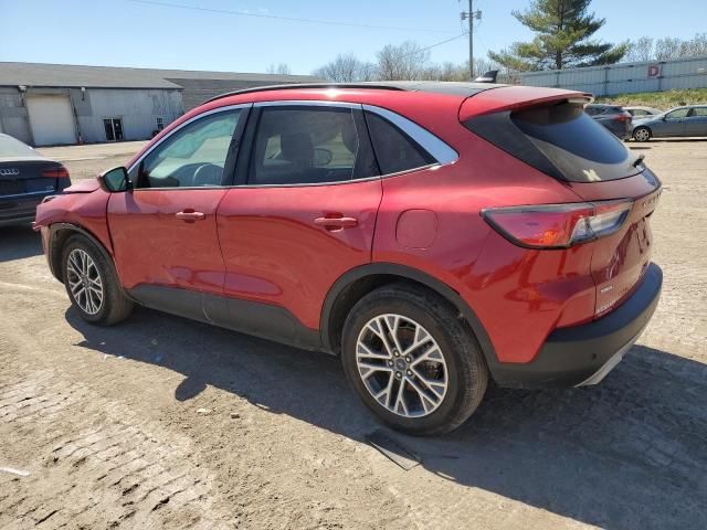 2021 Ford Escape SEL