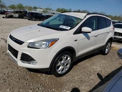 Salvage cars for sale at Louisville, KY auction: 2013 Ford Escape SE