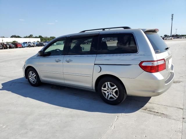 2005 Honda Odyssey EXL