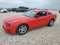 Salvage cars for sale from Copart Temple, TX: 2013 Ford Mustang