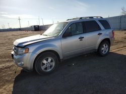 Salvage cars for sale from Copart Greenwood, NE: 2010 Ford Escape XLT