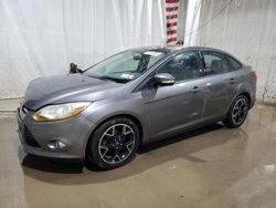 Ford Focus se salvage cars for sale: 2013 Ford Focus SE