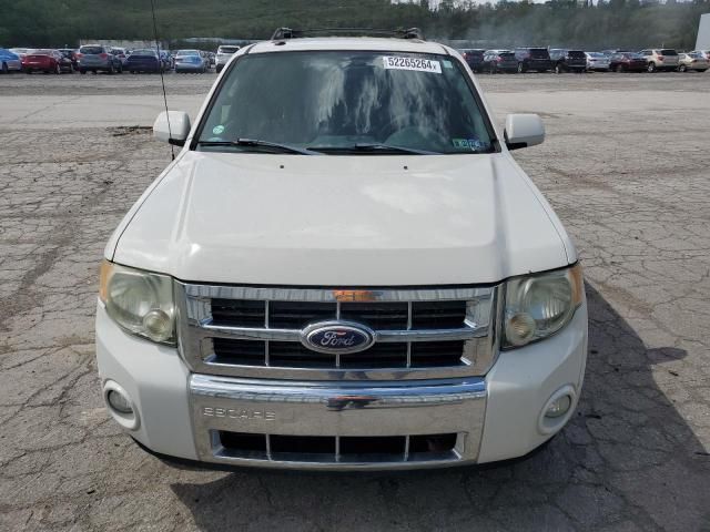 2010 Ford Escape Limited