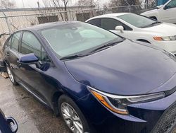 Salvage cars for sale from Copart Bowmanville, ON: 2022 Toyota Corolla LE