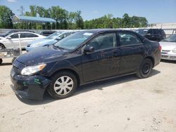 Toyota salvage cars for sale: 2010 Toyota Corolla Base