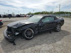Salvage cars for sale at Indianapolis, IN auction: 2005 Ford Mustang