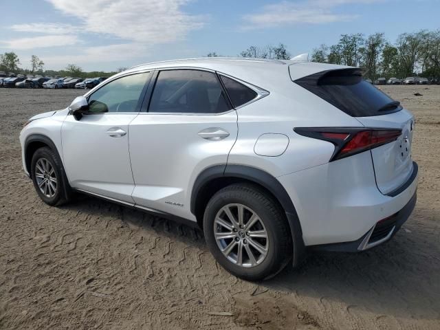 2021 Lexus NX 300H Base