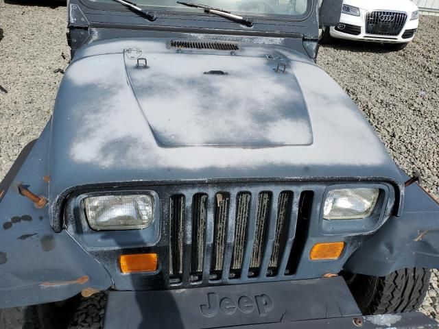 1994 Jeep Wrangler / YJ S