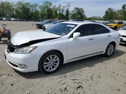 Salvage cars for sale at Baltimore, MD auction: 2010 Lexus ES 350