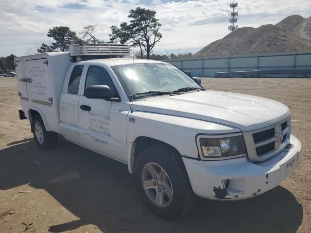 2011 Dodge Dakota SLT