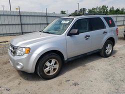 Salvage cars for sale from Copart Lumberton, NC: 2012 Ford Escape XLT