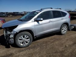 Salvage cars for sale at Rocky View County, AB auction: 2014 Honda CR-V EX