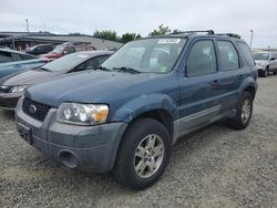 Ford salvage cars for sale: 2006 Ford Escape XLS