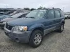 2006 Ford Escape XLS