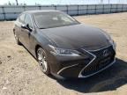 2019 Lexus ES 300H