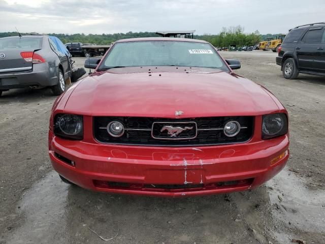 2005 Ford Mustang