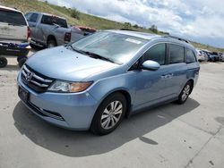 Salvage cars for sale at Colorado Springs, CO auction: 2014 Honda Odyssey EXL