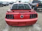 2005 Ford Mustang