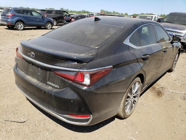 2019 Lexus ES 300H