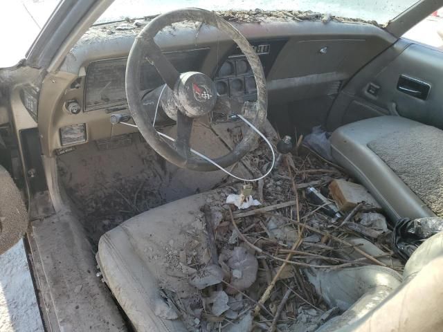 1982 Chevrolet Corvette