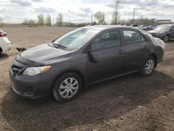 Salvage cars for sale from Copart Montreal Est, QC: 2011 Toyota Corolla Base