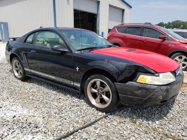 2000 Ford Mustang