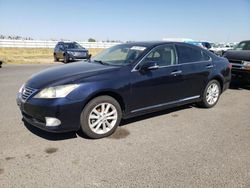 Lexus ES 350 Vehiculos salvage en venta: 2010 Lexus ES 350