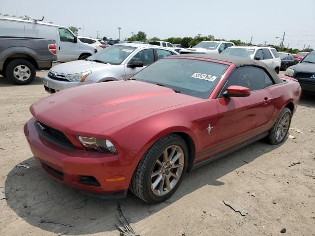 2010 Ford Mustang