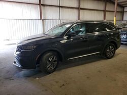 Salvage cars for sale at Pennsburg, PA auction: 2022 KIA Sorento S