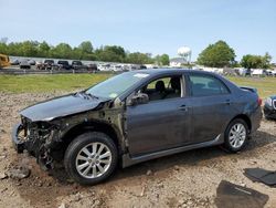 Toyota Corolla salvage cars for sale: 2010 Toyota Corolla Base