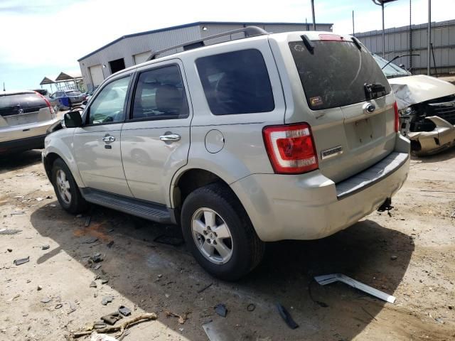 2009 Ford Escape XLT