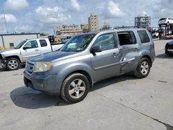 Honda Pilot EXL salvage cars for sale: 2009 Honda Pilot EXL