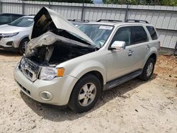 Salvage cars for sale from Copart Austell, GA: 2009 Ford Escape XLT