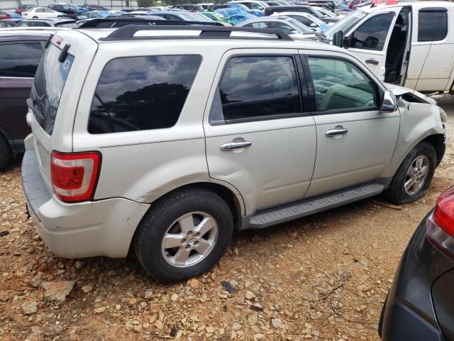 2009 Ford Escape XLT