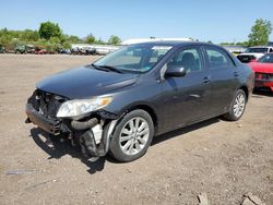 Salvage cars for sale from Copart Columbia Station, OH: 2009 Toyota Corolla Base