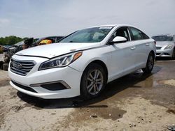 2017 Hyundai Sonata SE for sale in Memphis, TN