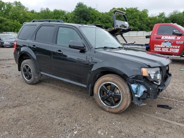 2011 Ford Escape XLT