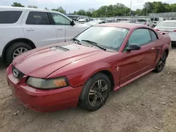 Ford Vehiculos salvage en venta: 2003 Ford Mustang