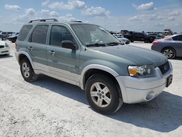 2007 Ford Escape HEV