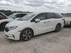 2021 Honda Odyssey Touring